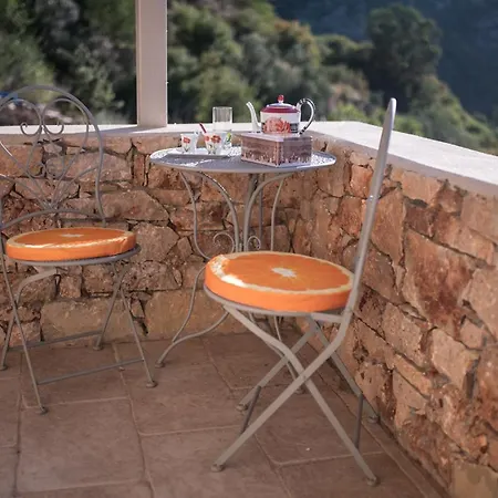 Tutti Fruti Apartment